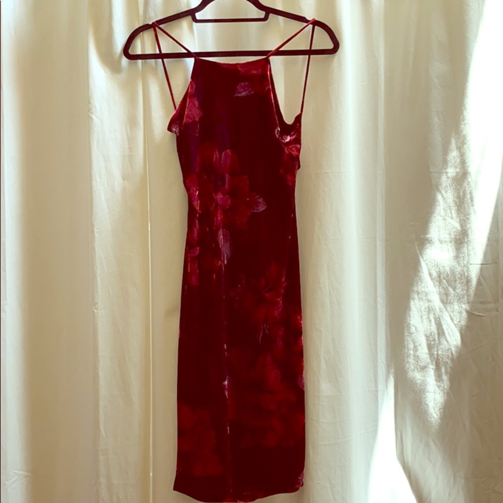 Windsor Rose Velvet Cocktail Dress